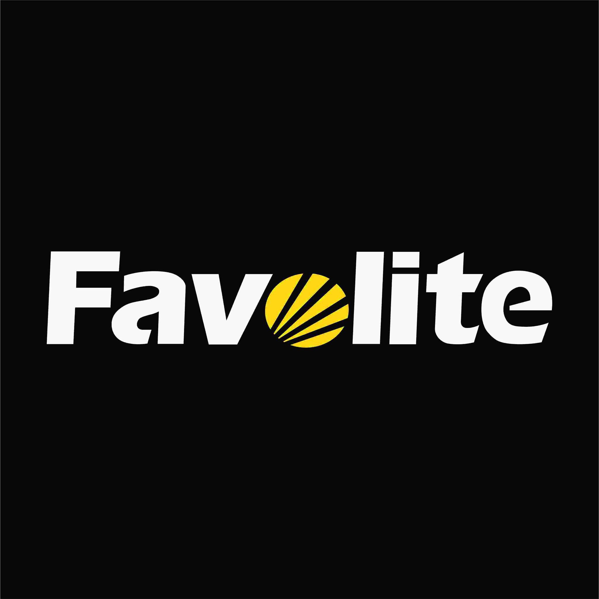 Favolite Professional LED DJ Light 